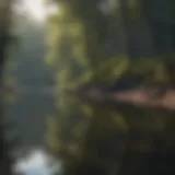 A tranquil lakeside view with reflections of trees