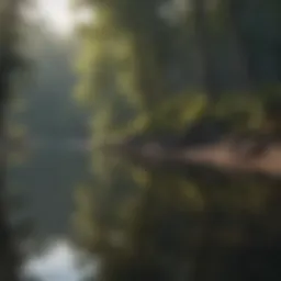 A tranquil lakeside view with reflections of trees