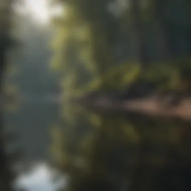 A tranquil lakeside view with reflections of trees