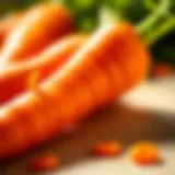 A vibrant carrot with a green top resting on a clean surface