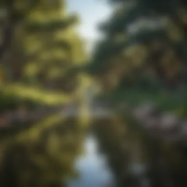 Natural Beauty Surrounding San Antonio A scenic park or natural area showcasing the beauty of the region