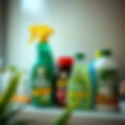 A range of eco-friendly cleaning products displayed on a shelf