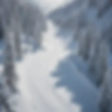An aerial shot of ski trails winding through pristine snow at the resort.