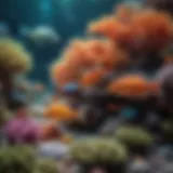 A vibrant coral reef teeming with colorful fish