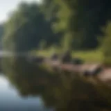 Lush Maryland freshwater lake landscape