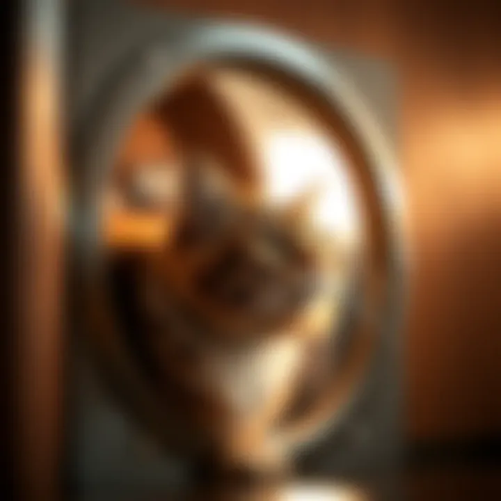 Close-up of a stylish indoor cat door