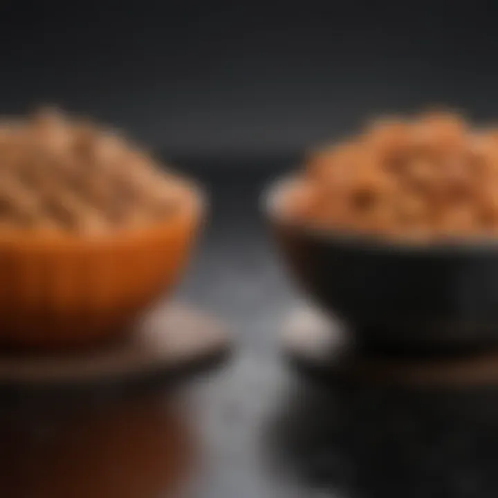 Visual comparison of dry and wet puppy food options
