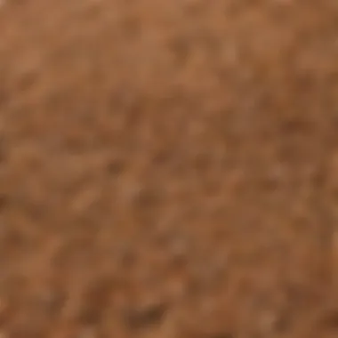Display of grains commonly found in Iams puppy food like rice and barley