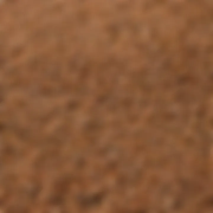 Display of grains commonly found in Iams puppy food like rice and barley