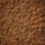 Close-up of Iams puppy food kibble showing texture and shape