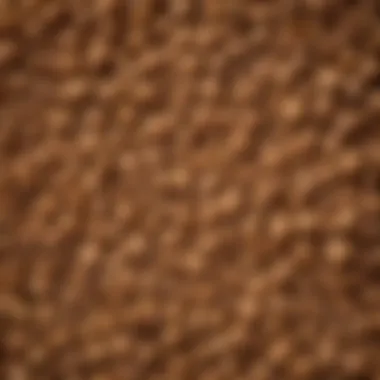 Close-up of Iams puppy food kibble showing texture and shape
