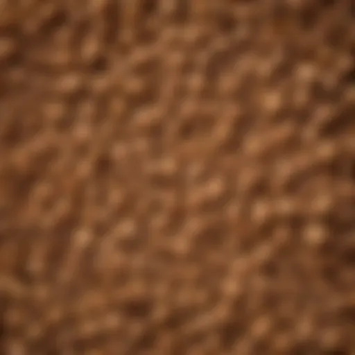 Close-up of Iams puppy food kibble showing texture and shape