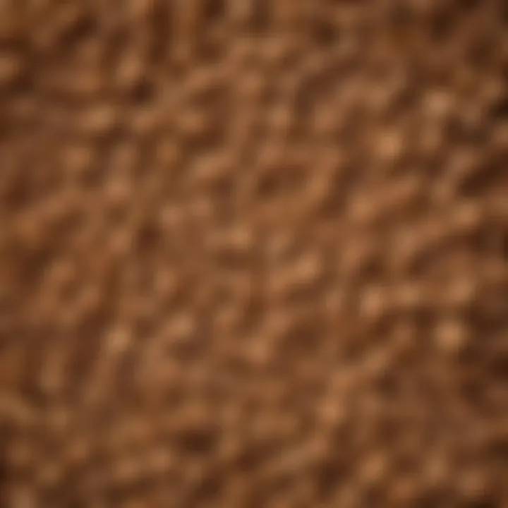 Close-up of Iams puppy food kibble showing texture and shape