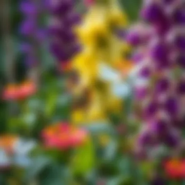 Flowering Plants and Wildlife in Florida A diverse array of flowering plants supporting local wildlife in Florida