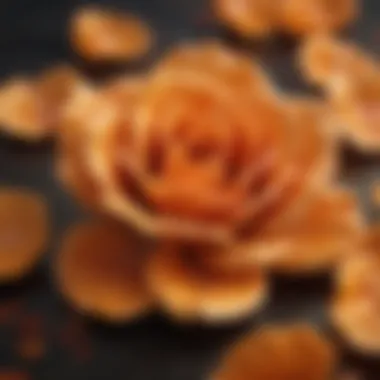 Close-up of Orange Tea Rose Petals