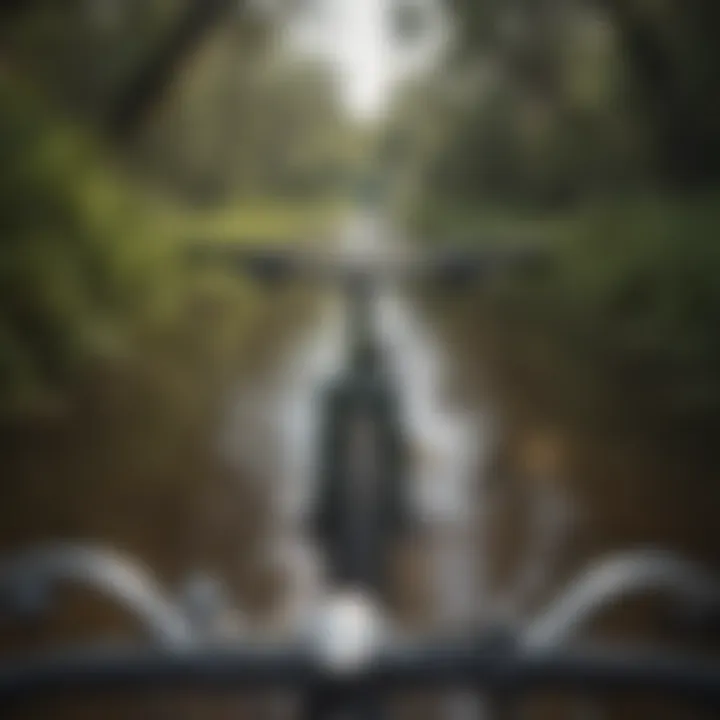 Biking through Shingle Creek Regional Trail