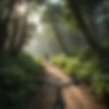 Cycling amidst lush greenery in Tibet-Butler Nature Preserve
