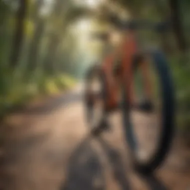 Pedaling along West Orange Trail