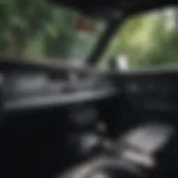 An interior view of a car with a focus on air fresheners and cleaning products.