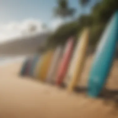 Colorful surfboards lined up on a sandy beach