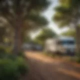 Scenic view of an RV campground near Fort Worth, TX with lush greenery and spacious sites
