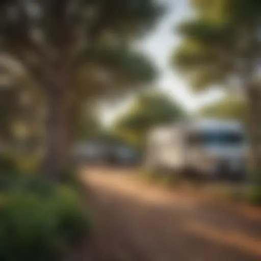 Scenic view of an RV campground near Fort Worth, TX with lush greenery and spacious sites