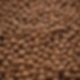 A vibrant display of various dog food options without taurine