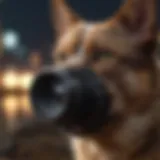 A sleek pet camera with night vision capability