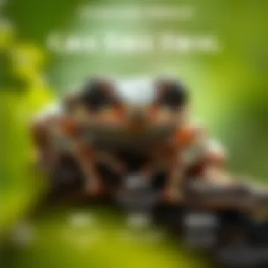 An infographic depicting the conservation status and threats faced by gray tree frogs