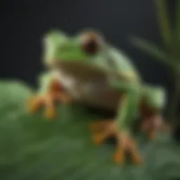 A vibrant green tree frog perched on a leaf, showcasing its striking color and unique skin texture.