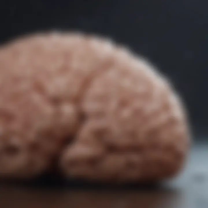Illustration showcasing the dynamics of tonic seizures in the brain