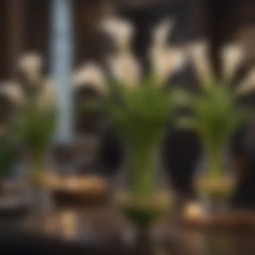 Exquisite Calla Lily Bulbs Collection in Elegant Vases