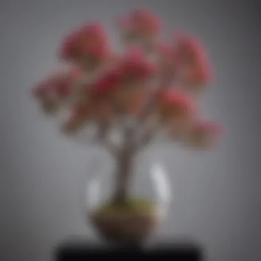 Artistic arrangement featuring crape myrtle branches in a modern vase