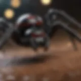 Female Black Widow Spider