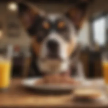Happy dog enjoying gluten-free meal