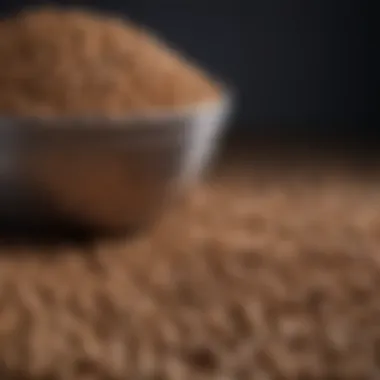Comparative Analysis of Dog Food Types Comparison chart of grain free versus traditional dog food.