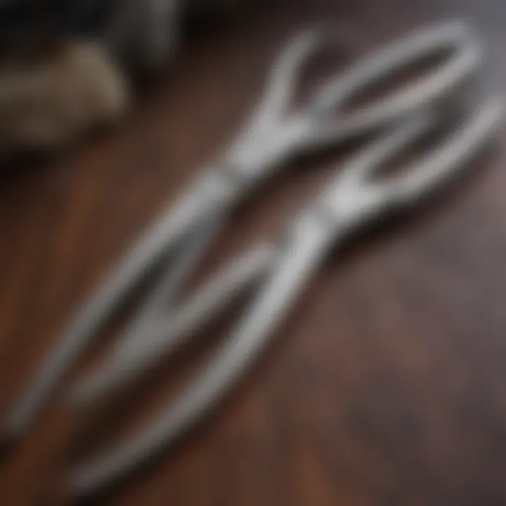 High-quality stainless steel pet hair cutting shears