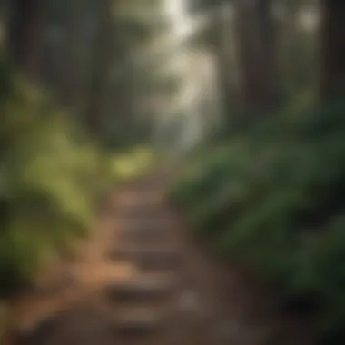 Hiking trail leading to a scenic view near San Francisco