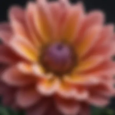 Floral Diversity: A Closer Look at Hungary's Iconic Species A close-up of an iconic Hungarian flower species, highlighting its unique petals and structure.