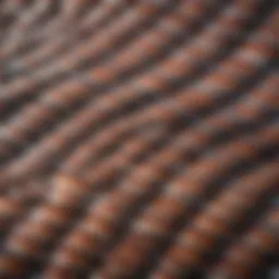 Detailed close-up of fish scales
