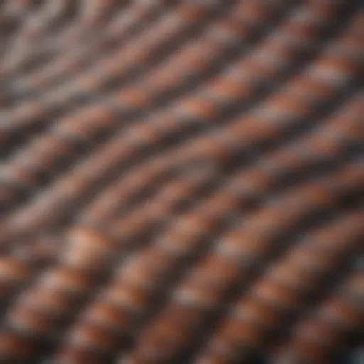Detailed close-up of fish scales