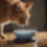 Graceful feline drinking from non-spill water bowl