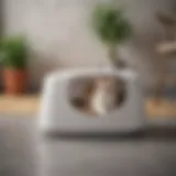 Sleek and Modern Cat Litter Box Design