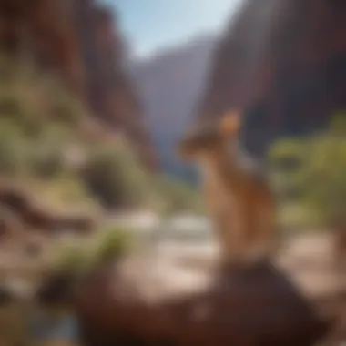 Diverse flora and fauna coexisting in the unique ecosystem of the Grand Canyon