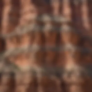 Close-up of rock layers revealing the geological history embedded within the canyon walls