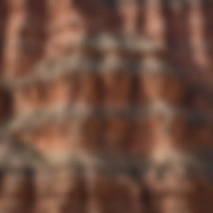 Close-up of rock layers revealing the geological history embedded within the canyon walls