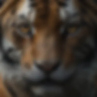 Tiger's intense gaze in the darkness