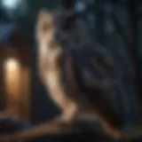 A majestic owl perched silently in the moonlight