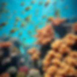 A vibrant coral reef teeming with colorful fish