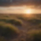 Vast Prairie Landscape in Kansas